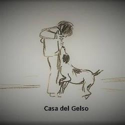 Casa del Gelso ASD Centro di Cultura Cinofila, Castelfranco Emilia orari di apertura