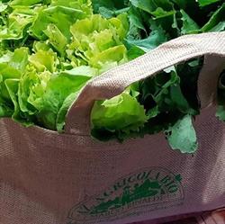 Azienda Agricola Bio Marco Rinaldi, Poggio Bustone orari di apertura