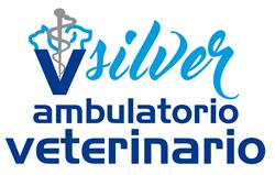 Ambulatorio Veterinario Silver di Nanni Elena, Forlì orari di apertura