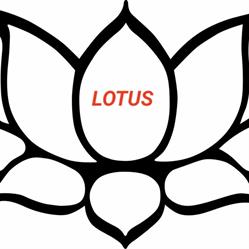 LOTUS, Santa Maria degli Angeli orari di apertura