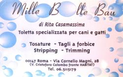 Mille Bolle Bau Roma, orari di apertura