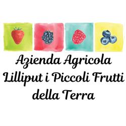 Lilliput i Piccoli Frutti della Terra, Chiomonte orari di apertura