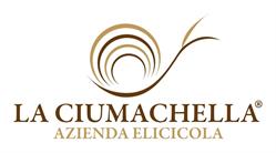La ciumachella Roma, orari di apertura