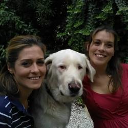 Scodinzolandia Vacanze Bestiali, Ascoli Piceno orari di apertura