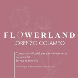 Flowerland Montenero, Montenero di Bisaccia orari di apertura