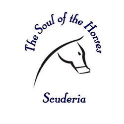 The Soul of the Horses, San Marco dei Cavoti orari di apertura