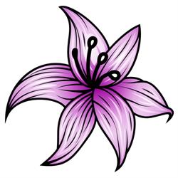 Cattleya, Rivalta di Torino orari di apertura