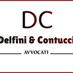 Studio legale Delfini Contucci, Roma orari di apertura