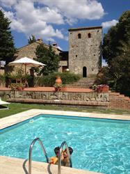Byblos REAL Estate, Busto Arsizio orari di apertura