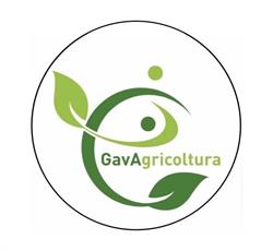 GavAgricoltura SRL., Vittorio Veneto orari di apertura