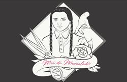 Mai di mercoledì parrucchiere unisex, Novi Ligure orari di apertura