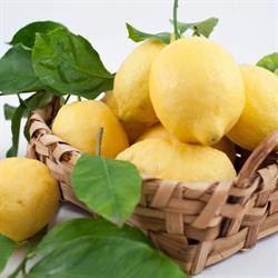 Distilleria del limoncino, Amalfi orari di apertura
