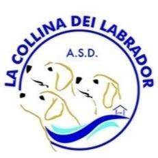 La Collina Dei Labrador ASD, Tortona orari di apertura