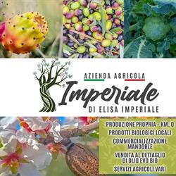 Azienda Agricola Imperiale, Cassano delle Murge orari di apertura