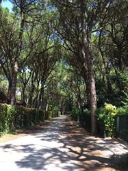 Villa Tiziana Affittasi Appartamenti, Eraclea orari di apertura