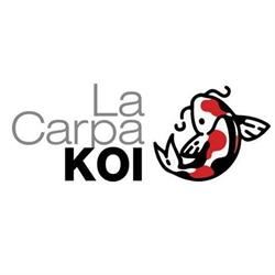 La Carpa KOI, Treia orari di apertura