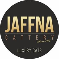 Jaffna cattery, Sorisole orari di apertura