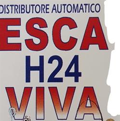 Obbiettivo PESCA esca viva h24, Palermo orari di apertura