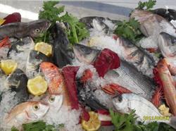 Tavola Azzurra 2 cibo da asporto, Santa Marinella orari di apertura
