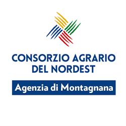 Consorzi Agrari D' Italia SpA - Ag. di Montagnana, orari di apertura