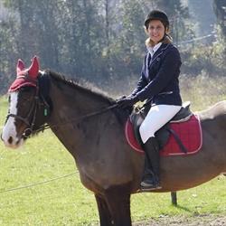 Dott.ssa Michela Vinciguerra - Psicologa Psicoterapeuta, Maddaloni orari di apertura
