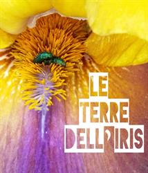 Le Terre dell'Iris, Foiano della Chiana orari di apertura