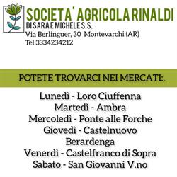 Società agricola Rinaldi, Montevarchi orari di apertura