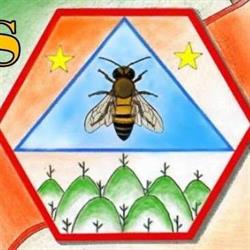 La Mil di Peonis Trasaghis, Peonis - Orari di apertura