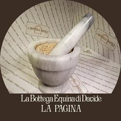 La Bottega Equina di Davide Sorbolo Mezzani, Sorbolo - Orari di apertura