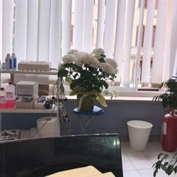 Studio di Medicina del Lavoro Dott.ssa V. Albeggiani, Palermo orari di apertura