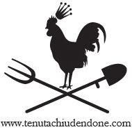 Agriturismo Tenuta Chiudendone, Palaia orari di apertura