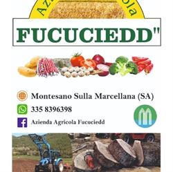 Azienda Agricola Fucuciedd, Montesano sulla Marcellana orari di apertura