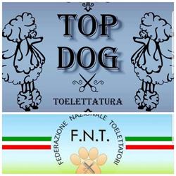 TOP DOG toelettatura, Genova orari di apertura