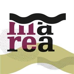 Marea, Salerno orari di apertura