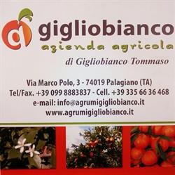 Azienda Agricola Gigliobianco, Palagiano orari di apertura