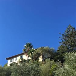 Villa Vento Largo CITR 008065-AGR-0006, Ventimiglia orari di apertura
