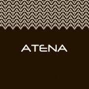 Atena Padova, orari di apertura