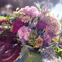 Artemis Fiori e Piante, Volterra orari di apertura