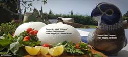 Da Ciro Specialità Gastronomiche Tipiche Campane, Verona orari di apertura