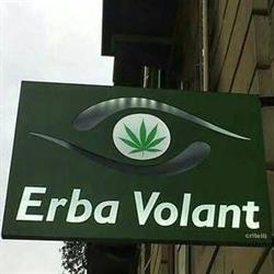 Erba volant, Torino orari di apertura