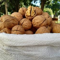 Frutta secca ed esotica - C.so Manfredi 236, Manfredonia orari di apertura