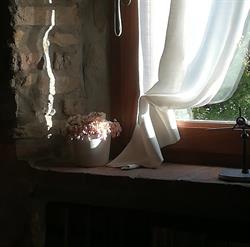 Podere le Pianacce, Santa Luce orari di apertura