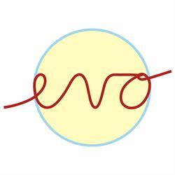 Evo - Centro di psicoterapia per l'età evolutiva, Casalecchio di Reno orari di apertura