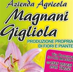 Az Agricola Magnani Gigliola Di Fruzzetti Riccardo, Massa orari di apertura