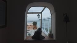 B&B La Terrazza, Procida orari di apertura