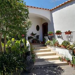 Casa Valentino Ischia, Lacco Ameno orari di apertura
