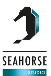 Seahorse Studio, Ravenna orari di apertura