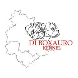 Allevamento di Boxauro, Perugia orari di apertura