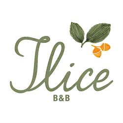 ILICE B&B LECCE, Lecce orari di apertura
