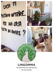 Lingomma & Stylmoquettes, Mestre orari di apertura